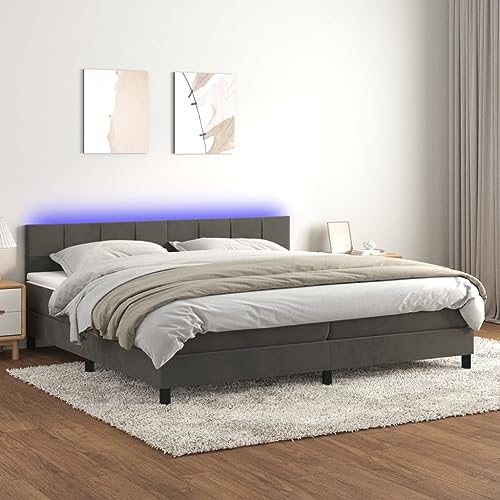Refined Boxspringbett mit Matratze & LED Dunkelgrau 200x200 cm Samt von Refined