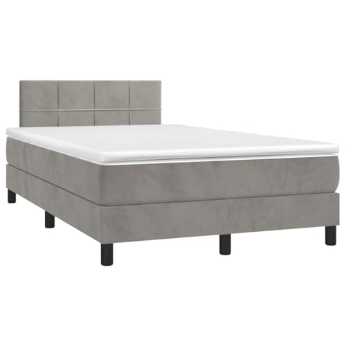 Refined Boxspringbett mit Matratze & LED Hellgrau 120x190 cm Samt von Refined