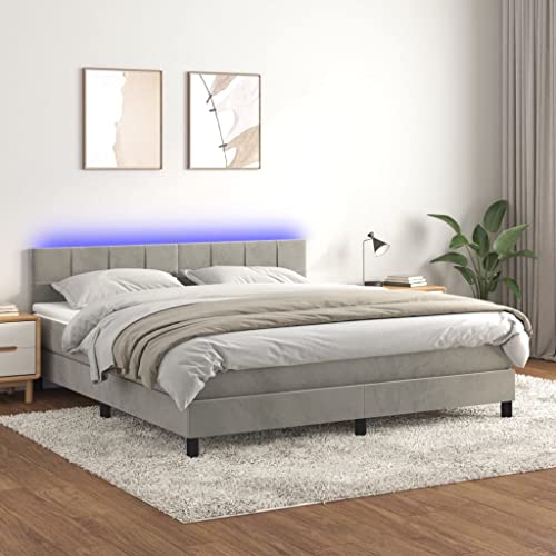 Refined Boxspringbett mit Matratze & LED Hellgrau 180x200 cm Samt von Refined