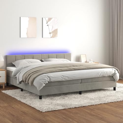 Refined Boxspringbett mit Matratze & LED Hellgrau 200x200 cm Samt Refined Boxspringbett mit Matratze & LED Hellgrau 200x200 cm Samt von Refined