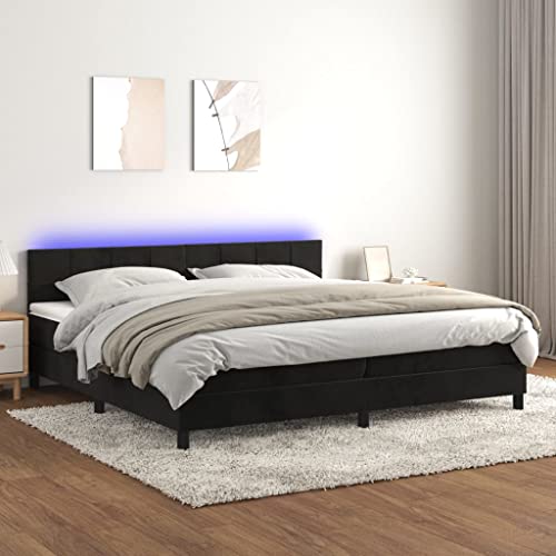 Refined Boxspringbett mit Matratze & LED Schwarz 200x200 cm Samt von Refined