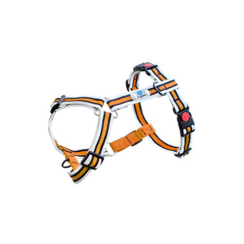 Reflective Dogwear Hundegeschirr Anti-Pull Plus Größe L 48-80cm (Hals) 66-103cm (Oberkörper) Einstellbar Reflektierend Druckknopf mit Sicherung Softgeschirr Hunde Geschirr Breite 25mm Orange von Reflective Dogwear