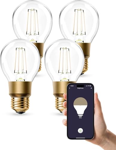 Refoss Home Smart WLAN Glühbirne E27, Dimmbare LED Glühbirne Vintage, Warmweiß, 6W (Äquivalent zu 60W), A19 Smart Edison Bulb, Kompatibel mit Alexa und Google Assistant, Kein Hub Erforderlich von Refoss Home
