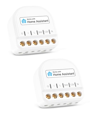 Refoss Mini WLAN Smart Relais Schalter zur Steuerung der Garagentor mit Home Assistant, 10A Smart Lichtschalter mit Strommessung, 1 Gang DIY Smart Modul, Kompatibel mit Alexa, Google Home, 2 Stück von Refoss