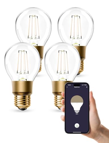 Refoss Smarte WLAN Glühbirne E27, Edison Vintage LED Glühbirne Kompatibel mit Alexa und Google Assistant, Dimmbare Warmweiß (6W), Kein Hub Erforderlich, 4 Stück von Refoss