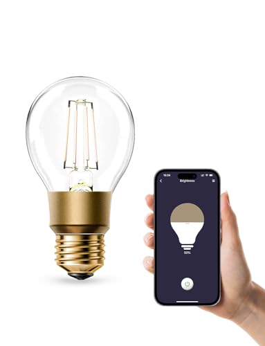 Refoss WLAN Glühbirne E27, Dimmbare LED Glühbirne Vintage, Warmweiß, 6W (Äquivalent zu 60W), A19 Smart Edison Bulb, Kompatibel mit Alexa und Google Assistant, Kein Hub Erforderlich von Refoss