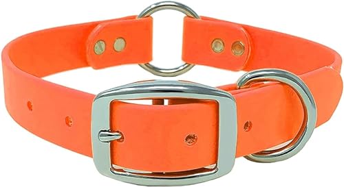 Regal Dog Products Hundehalsband Wasserfest für Kleine, Mittelgroße, Große Hunde (Orange) - Halsband für Hunde mit Mittelring - Hunde Halsband für Welpen, Mittelgrosse & Grosse Hunde von Regal Dog Products