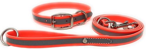 Reflektierendes Hundehalsband und Leine Set - Verstellbares Hundehalsband und Leine, Strapazierfähiges Wasserdichtes Hundehalsband und Leine Combo (mittleres Standardhalsband und Leine, Orangefarben) von Regal Dog Products