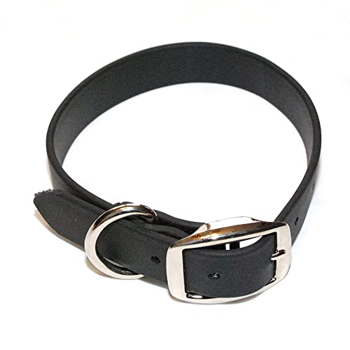 Regal Dog Hundehalsband Wasserfest für Kleine, Mittelgroße, Große Hunde (Schwarz) - Halsband für Hund mit Auffälliger Farbe - Hunde Halsband für Welpen, Mittelgrosse & Grosse Hunde von Regal Dog Products