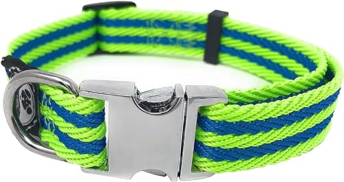 Regal Dog Products Hundehalsband für Kleine, Mittelgroße, Große Hunde (Limonengrüner/Blauer Streifen) - mit Metallschnalle und D-Ring - Halsband für Welpen, Mittelgrosse & Grosse Hunde von Regal Dog Products