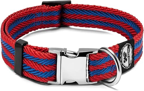 Regal Dog Products Haustierhalsband mit Metallschnalle und D-Ring | Metallverschluss und Hundehalsband aus Nylongewebe für kleine Hunde (Mittel, Rot/Blau Gestreift) von Regal Dog Products