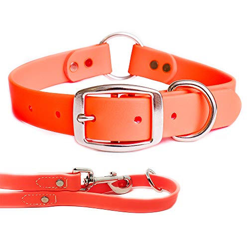 Regal Dog Products Hundehalsband Wasserfest mit 1,5 Meter Leine für Kleine, Mittelgroße, Große Hunde (Orange) - Halsband mit Mittelring und Leine für Hunde - Hunde Halsband für Welpen bis Grosse Hunde von Regal Dog Products