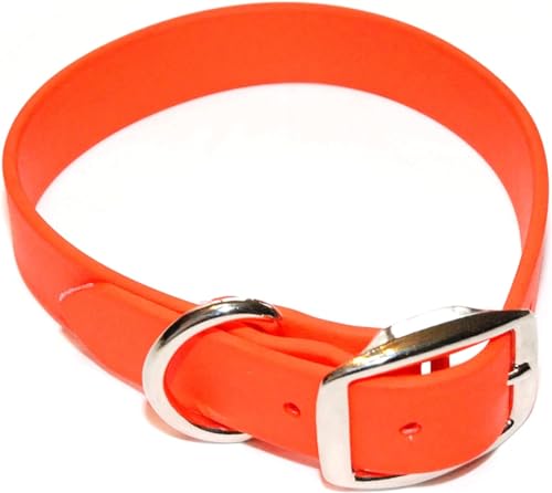 Regal Dog Products Hundehalsband Wasserfest für Kleine, Mittelgroße, Große Hunde (Orange) - Halsband für Hund mit Auffälliger Farbe - Hunde Halsband für Welpen, Mittelgrosse & Grosse Hunde von Regal Dog Products