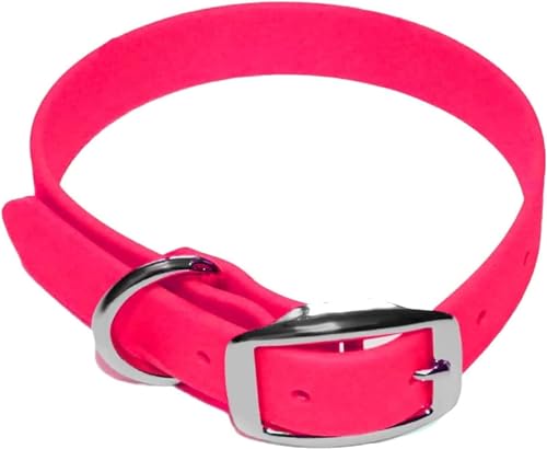 Regal Dog Products Hundehalsband Wasserfest für Kleine, Mittelgroße, Große Hunde (Rosa) - Halsband für Hund mit Auffälliger Farbe - Hunde Halsband für Welpen, Mittelgrosse & Grosse Hunde von Regal Dog Products