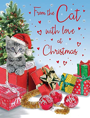 Traditionelle (niedliche) Weihnachtskarte von The Cat – 20,3 x 15,2 cm – Regal Publishing von Regal Publishing