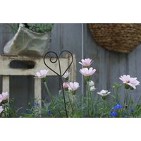 Pflanzstecker 2stk. Oder 5stk-Set Rost Gartendeko Herz Spirale Metalldekoration Pflanzstecker 2stk. Oder 5stk-Set Rost Gartendeko Herz Spirale Metalldekoration von RegenbogenxLaden