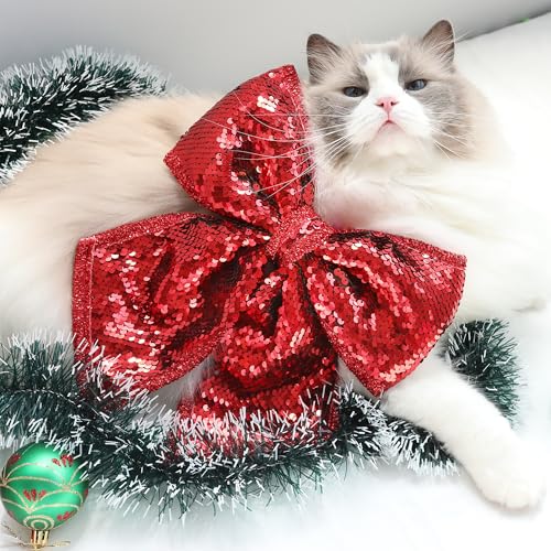 Regendeko Rot Weihnachtsschleifen Glitzer Schleifen Baumschleifen Weihnachten Weihnachtsbaum Bogen Weihnachten Schleifen Schleifenband Weihnachtsdeko Regendeko Rot Weihnachtsschleifen Glitzer Schleifen Baumschleifen Weihnachten Weihnachtsbaum Bogen Weihnachten Schleifen Schleifenband Weihnachtsdeko von Regendeko