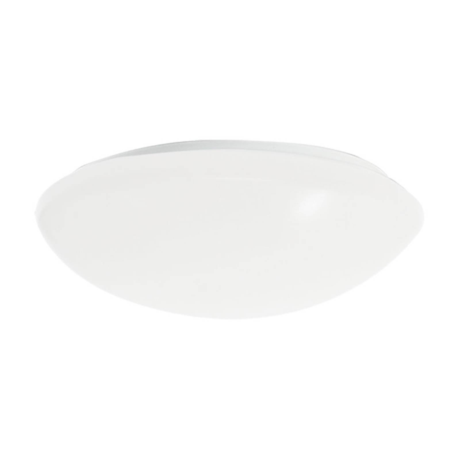 LED-Wandleuchte WBLR/500 48 cm 4.286 lm 3.000 K von Regiolux