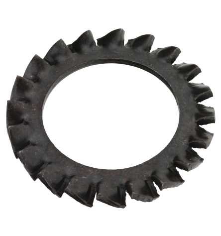 Reidl Fächerscheiben 8,4 mm DIN 6798 Federstahl blank 100 Stück Reidl Fächerscheiben 8,4 mm DIN 6798 Federstahl blank 100 Stück von Reidl