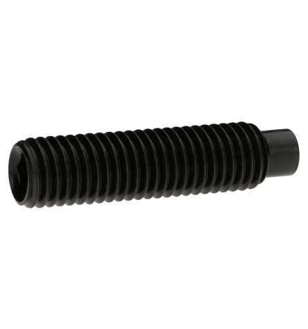Reidl Gewindestifte mit Innensechskant und Zapfen 4 x 20 mm DIN 915 45 H blank 10 Stück von Reidl