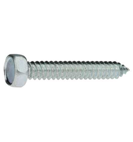 Reidl Sechskant Blechschrauben 4,2 x 50 mm DIN 7976 Stahl galv. verzinkt farblos 10 Stück Reidl Sechskant Blechschrauben 4,2 x 50 mm DIN 7976 Stahl galv. verzinkt farblos 10 Stück von Reidl