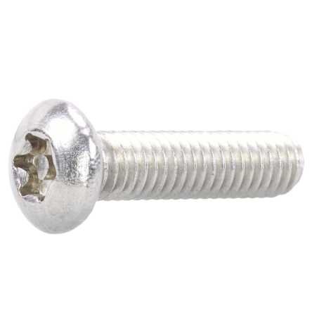 Reidl Sicherheitsschrauben Halbrundkopf metrisches Gewinde PIN Torx 8 x 30 mm A2 blank 100 Stück von Reidl