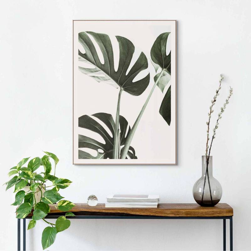 Gerahmtes Bild Monstera von Reinders