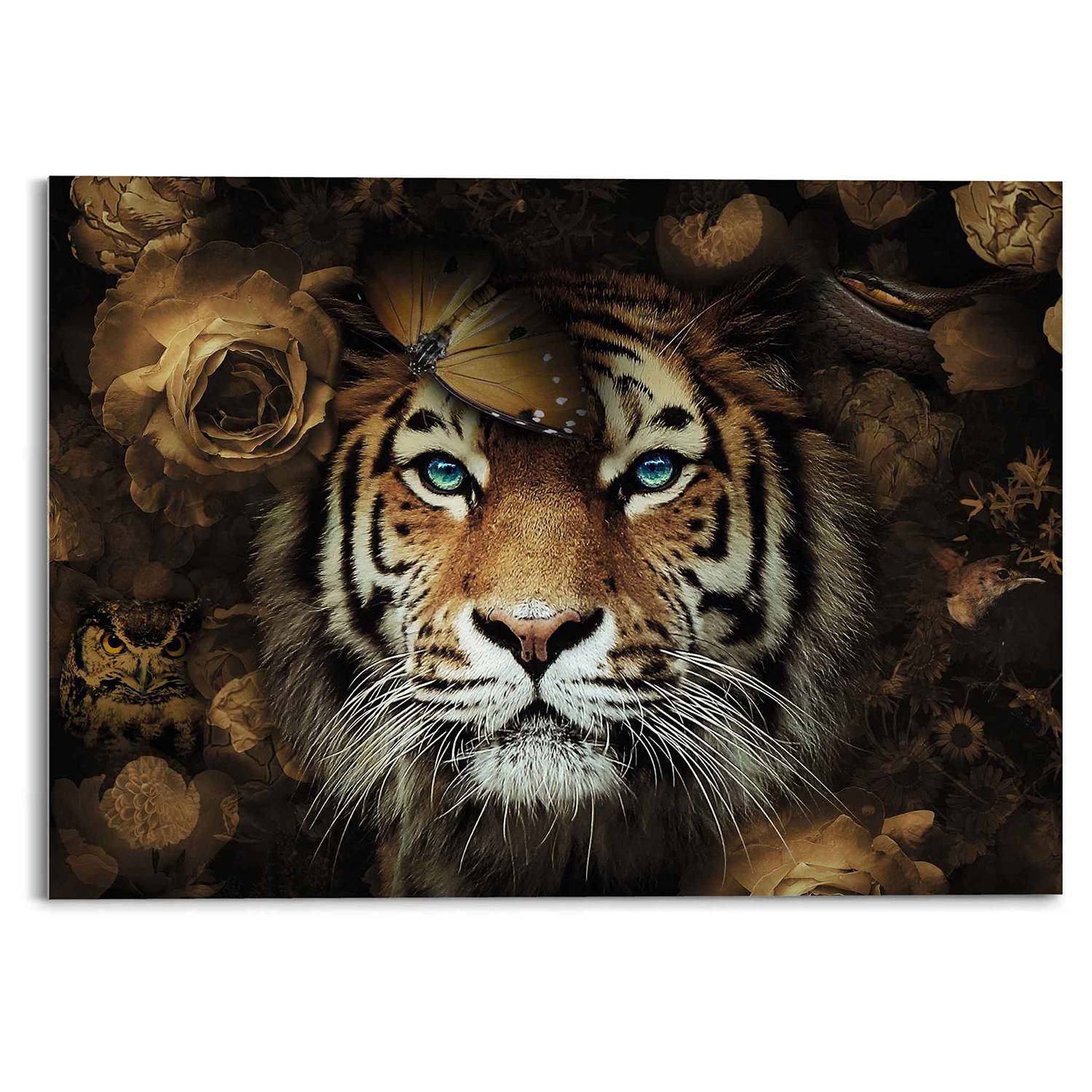 Glasbild Tiger Tierreich von Reinders