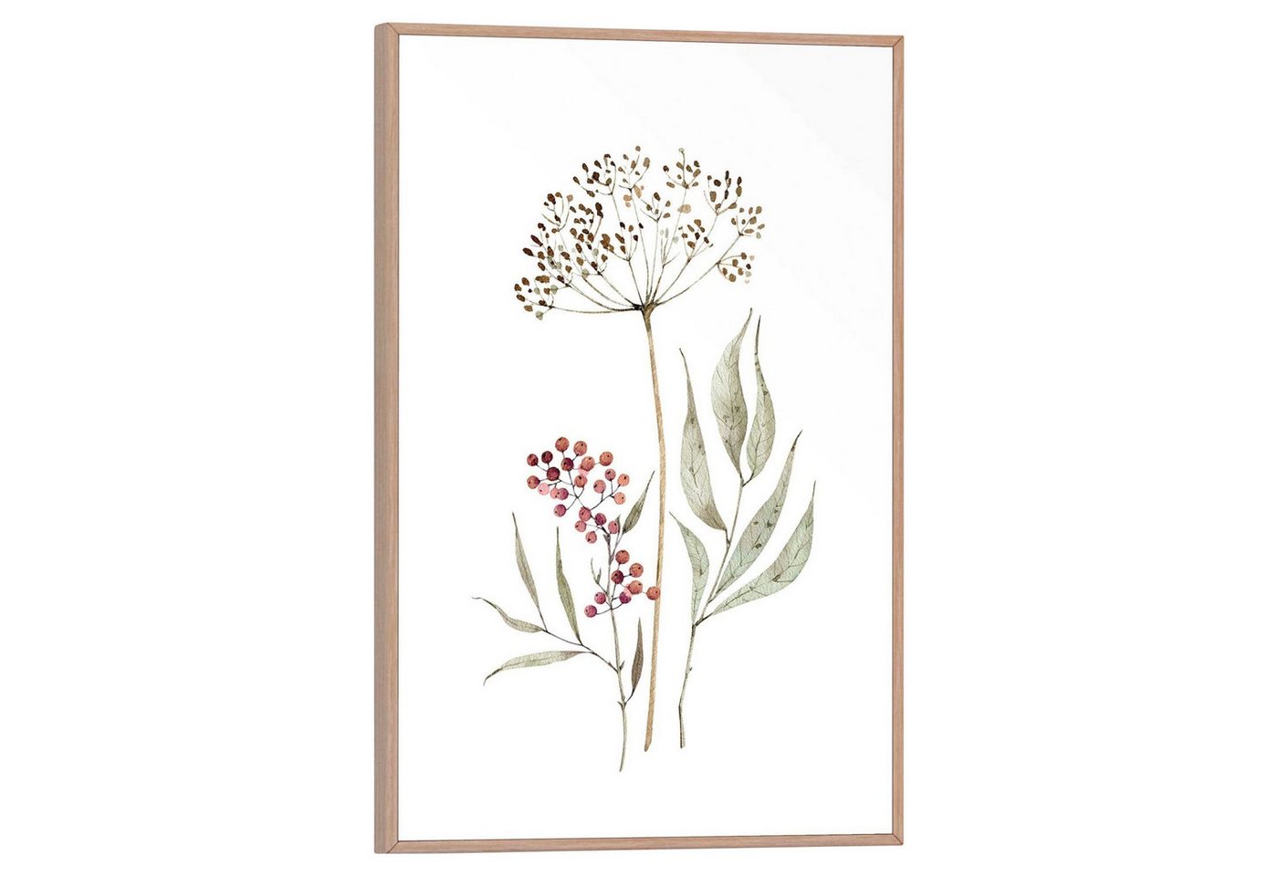 Reinders! Bild Gerahmtes Bild SIMPLONA, Braun-Weiß, B 20 cm, Blumen (1 St) von Reinders!