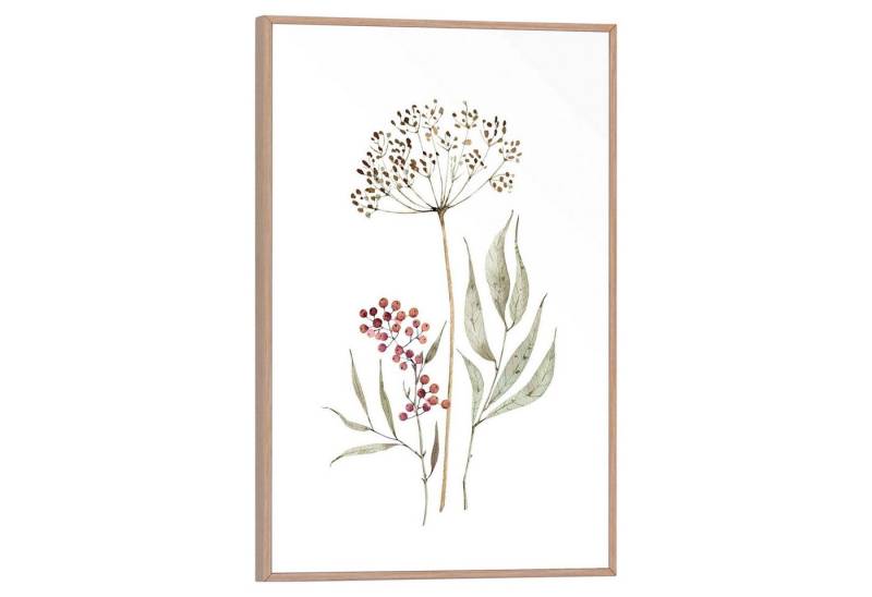 Reinders! Bild Gerahmtes Bild SIMPLONA, Braun-Weiß, B 20 cm, Blumen (1 St) von Reinders!