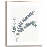 Reinders Bild mit Rahmen "Eucalyptus", (1 St.) von Reinders!