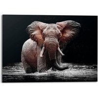Reinders Deco-Panel "Elefant" Reinders Deco-Panel "Elefant" von Reinders!