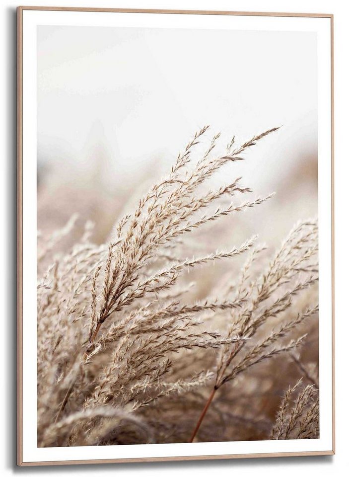 Reinders! Kunstdruck Gras von Reinders!