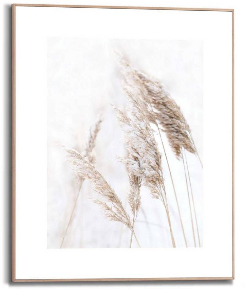 Reinders! Kunstdruck Pampasgras von Reinders!