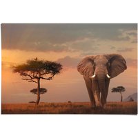 Reinders Poster "Afrikas Wildtiere Elefant", (1 St.) von Reinders!