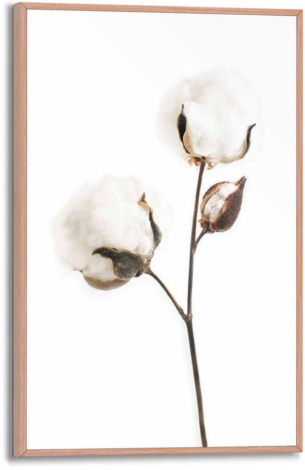 Reinders! Poster Baumwollzweig Reinders! Poster Baumwollzweig von Reinders!