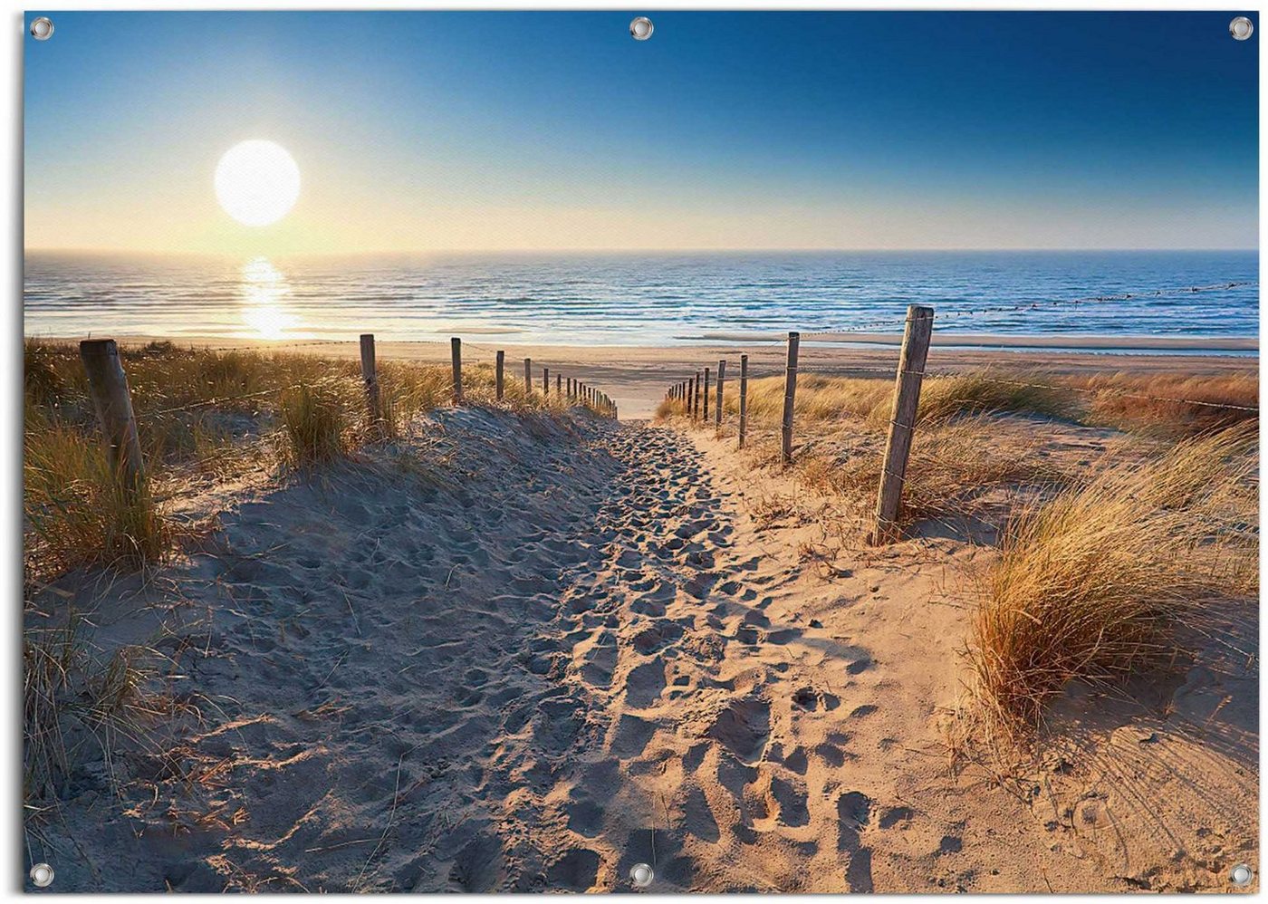 Reinders! Poster Dünenweg zum Meer, leichtes und wasserfestes Gartenposter für den Außeneinsatz von Reinders!