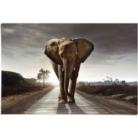 Reinders Poster "Elefant Wanderung", (1 St.) von Reinders!