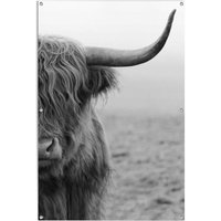 Reinders Poster "Highlander Bulle" von Reinders!