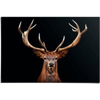 Reinders Poster "Hirsch" von Reinders!