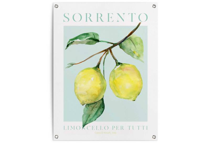 Reinders! Poster Lemon Portrait Reinders! Poster Lemon Portrait von Reinders!