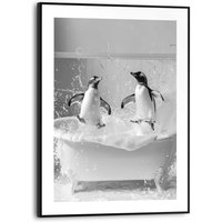 Reinders Poster "Penguin Splash" Toilette - Schwarz-Weiß - MDF - Tiere - 30x40 cm von Reinders!