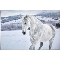 Reinders Poster "Pferd im Schnee", (1 St.) von Reinders!