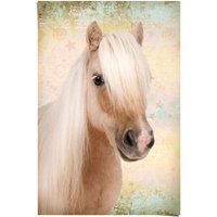 Reinders Poster "Pony Liebe", (1 St.) von Reinders!