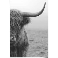 Reinders Poster "Poster Highlander Bulle", Kuh, (1 St.) von Reinders!