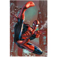 Reinders Poster "Poster Spider-Man", Comic, (1 St.) von Reinders!