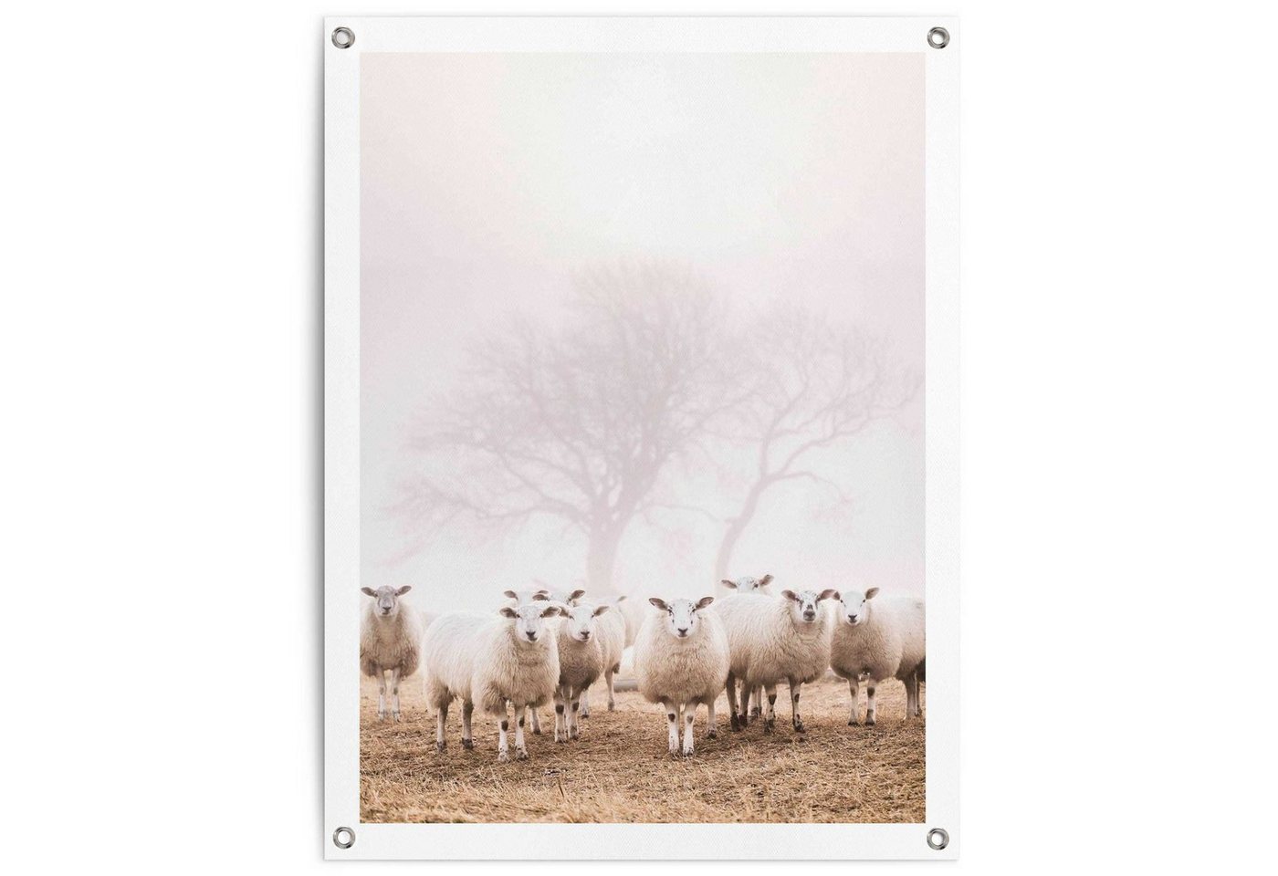 Reinders! Poster Schafe im Nebel, Outdoor für Garten oder Balkon von Reinders!