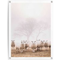 Reinders Poster "Schafe im Nebel", Outdoor für Garten oder Balkon von Reinders!