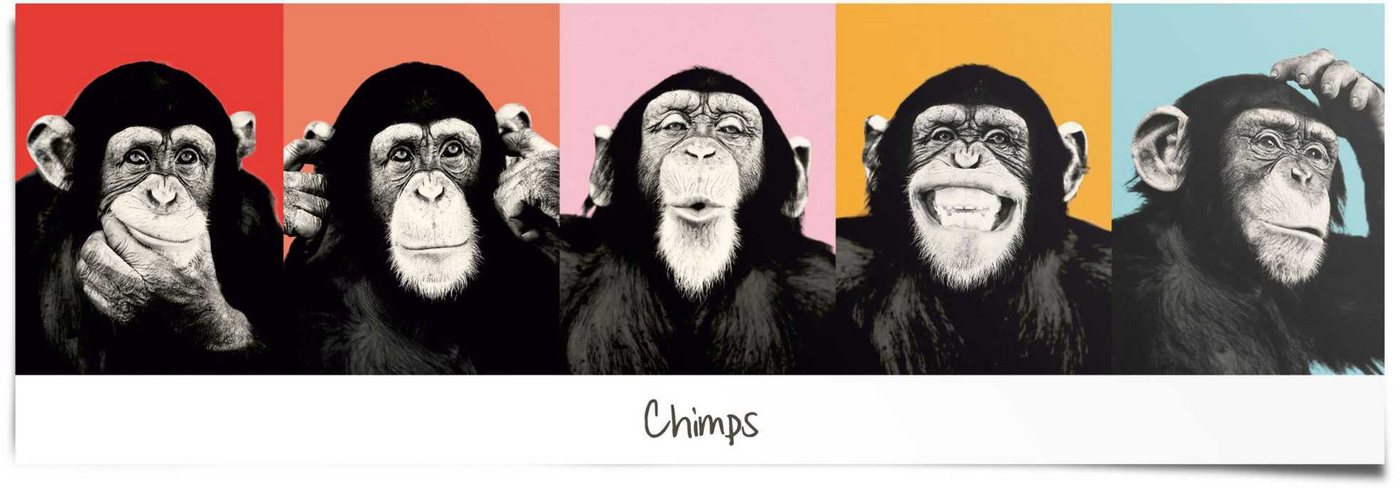 Reinders! Poster Schimpanse Pop, (1 St) von Reinders!
