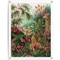 Reinders Poster "Sea Flora" von Reinders!